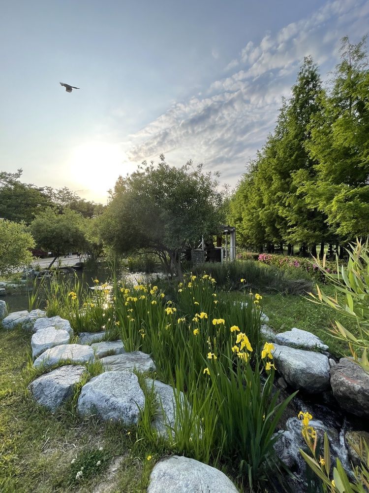 Photograph by Gorobets Olga