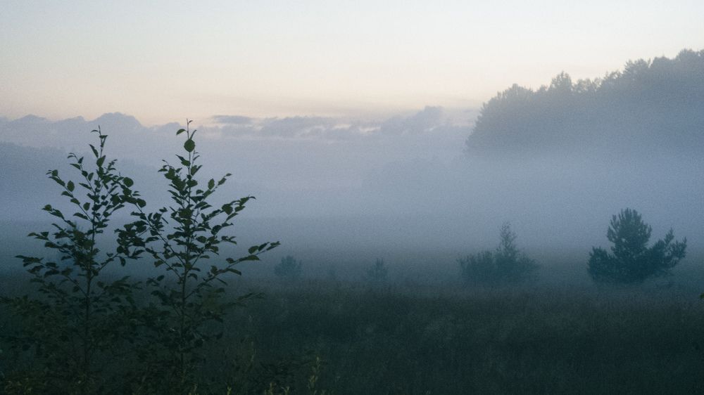 Photograph by Андрей Миронов