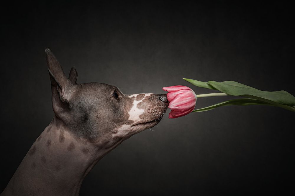 Photograph by Vladimir Smaženka