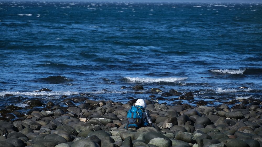 Photograph by Александр Белов