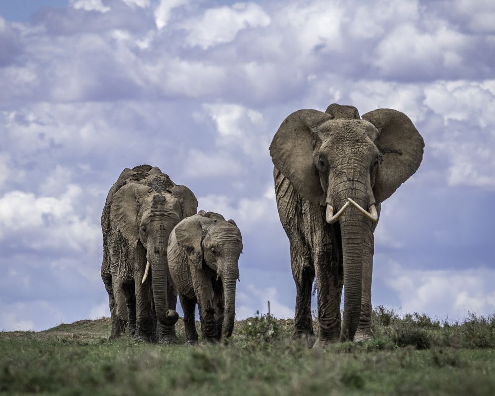 Photograph by Rio Marvin