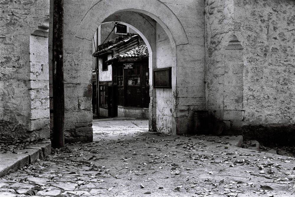 Photograph by Muzaffer Sütlüoğlu