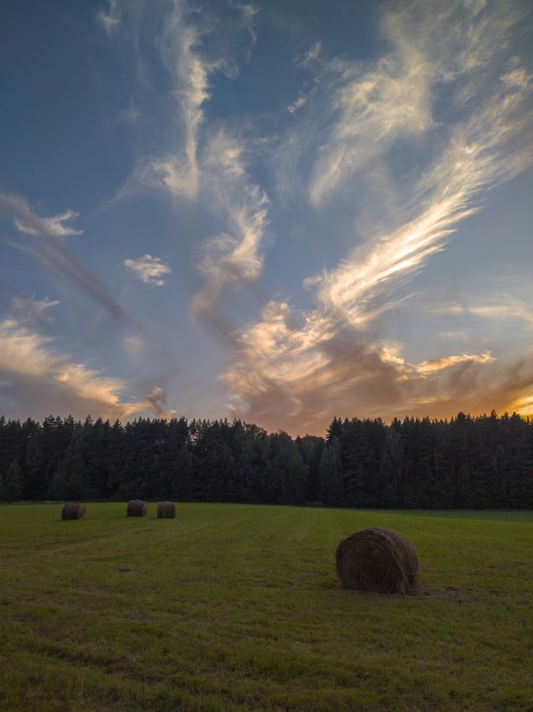 Фотография автора Александр Довганюк