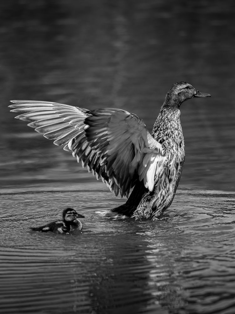 Photograph by Виталий