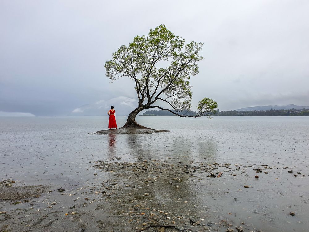 Woman in red stand by Wanaka tree