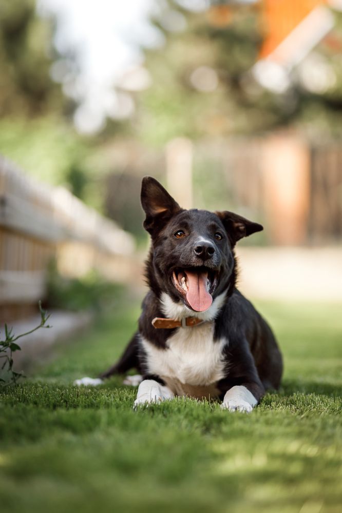 Фотография автора Татьяна Радусь