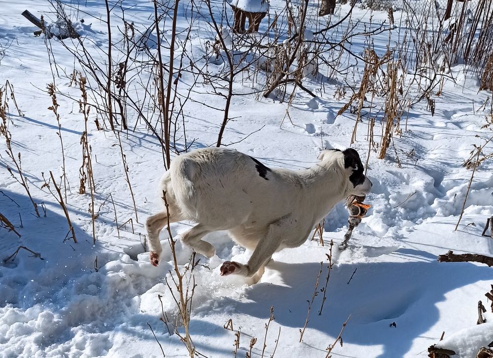 Фотография автора Таня Долгушева