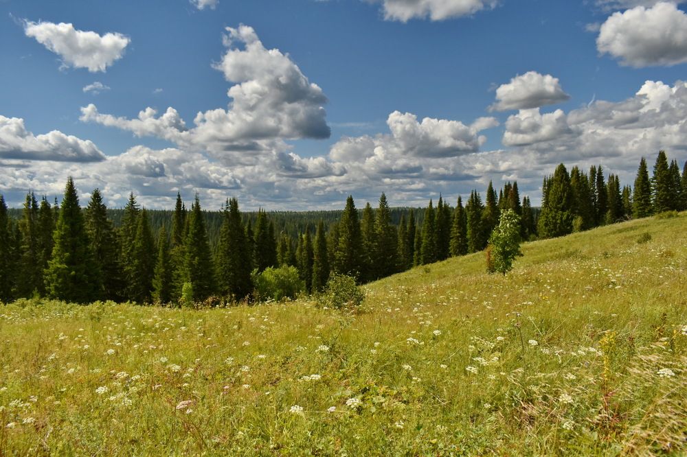Photograph by Роман Пацкевич