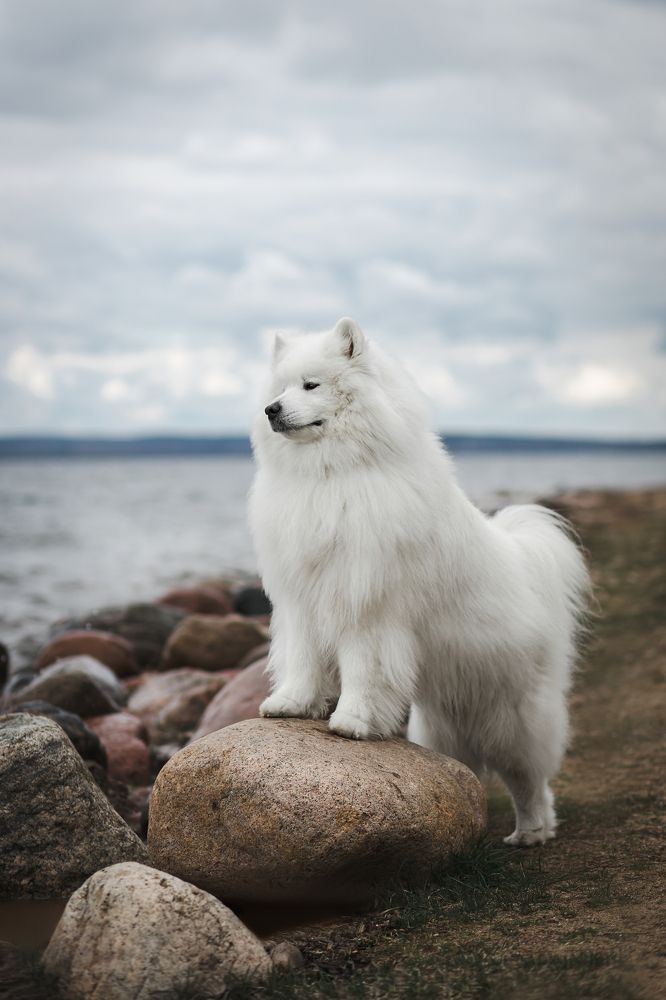 Фотография автора Татьяна Радусь