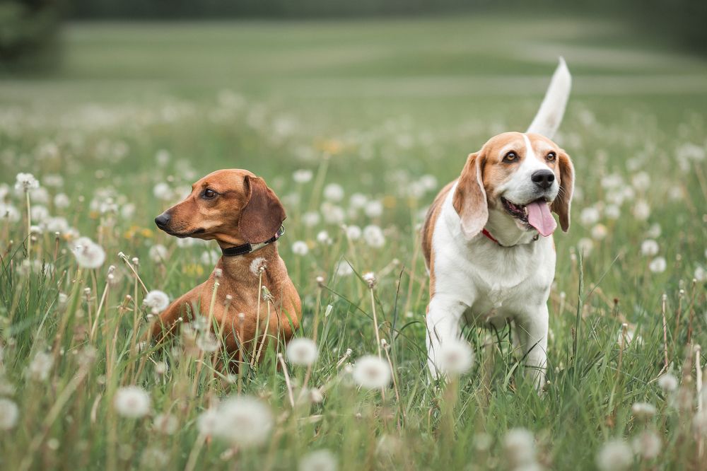 Фотография автора Татьяна Радусь