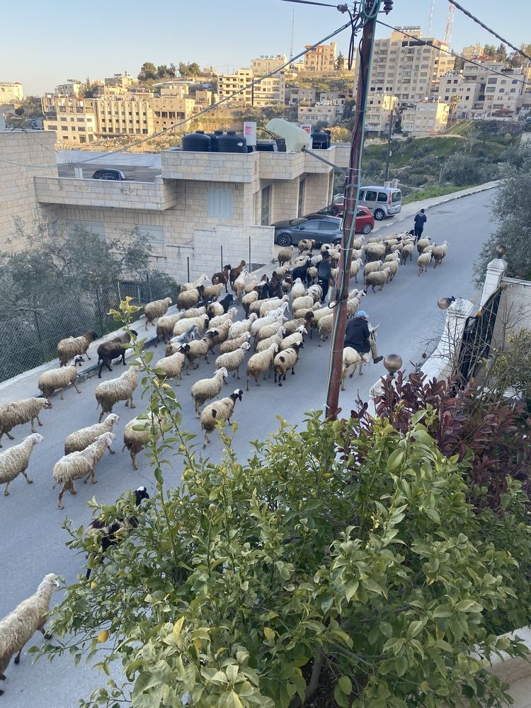 Фотография автора Zora Lilia