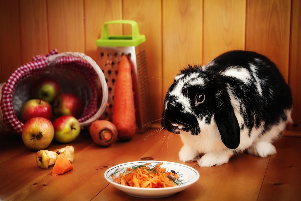 Photograph by Сергей