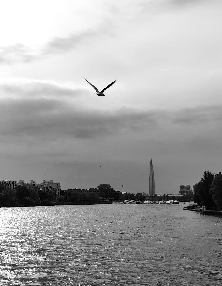Photograph by Светлана Морева