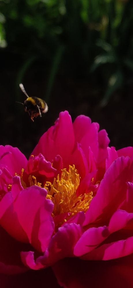 Photograph by Ирина Севрюкова