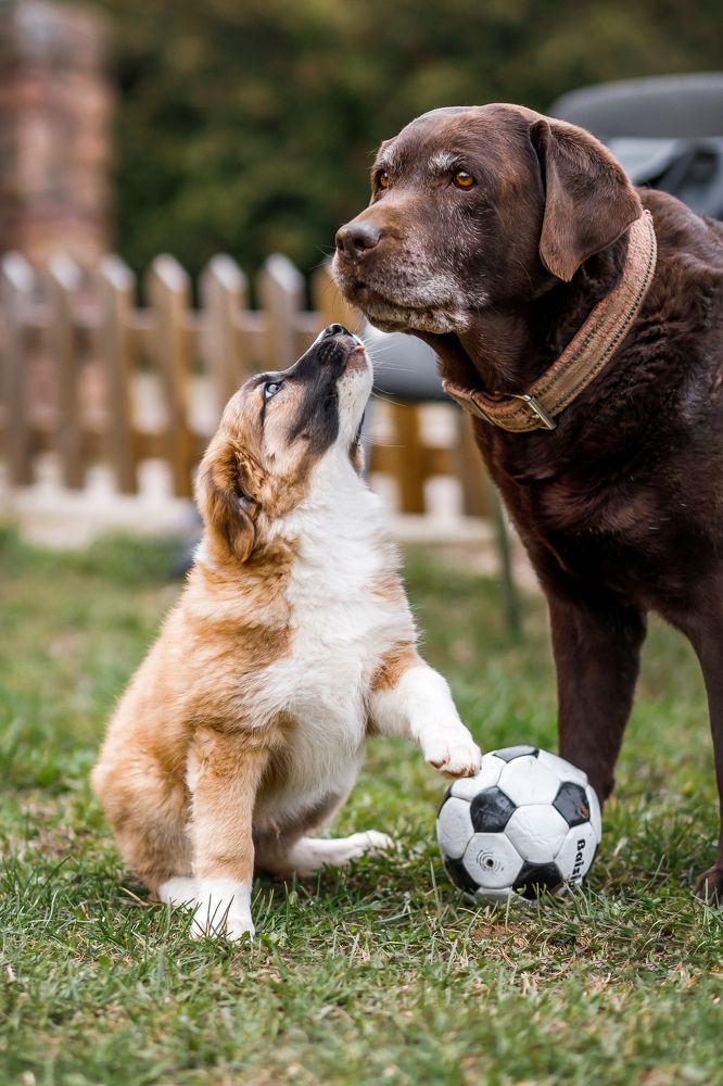 Фотография автора Татьяна Радусь