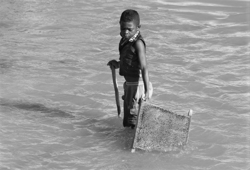 Фотография автора caroline martin (dony)