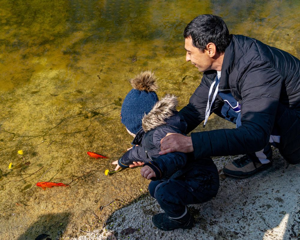 Выпуск рыбок в пруд...