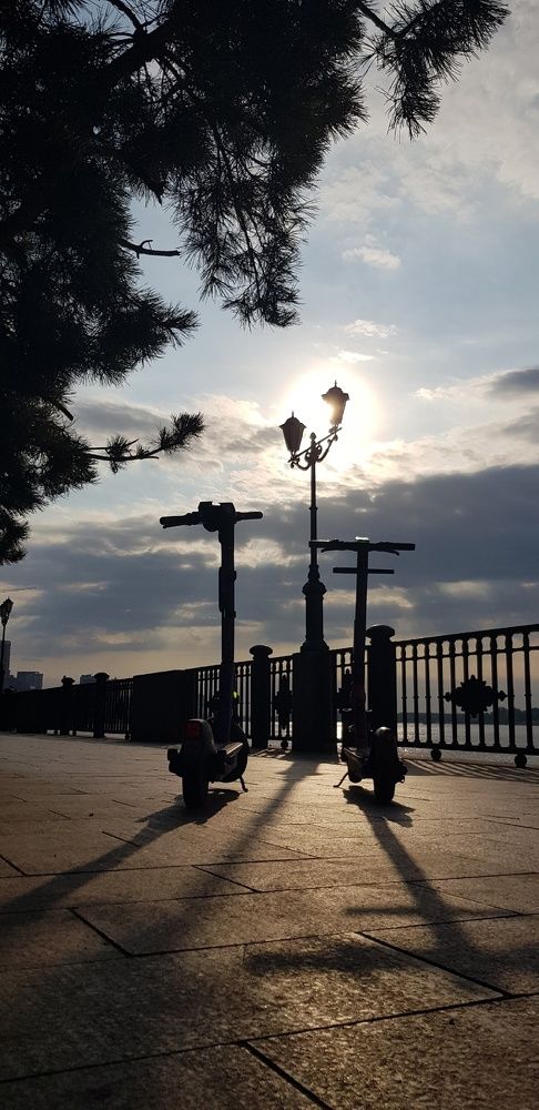 Фотография автора Ольга Мусина