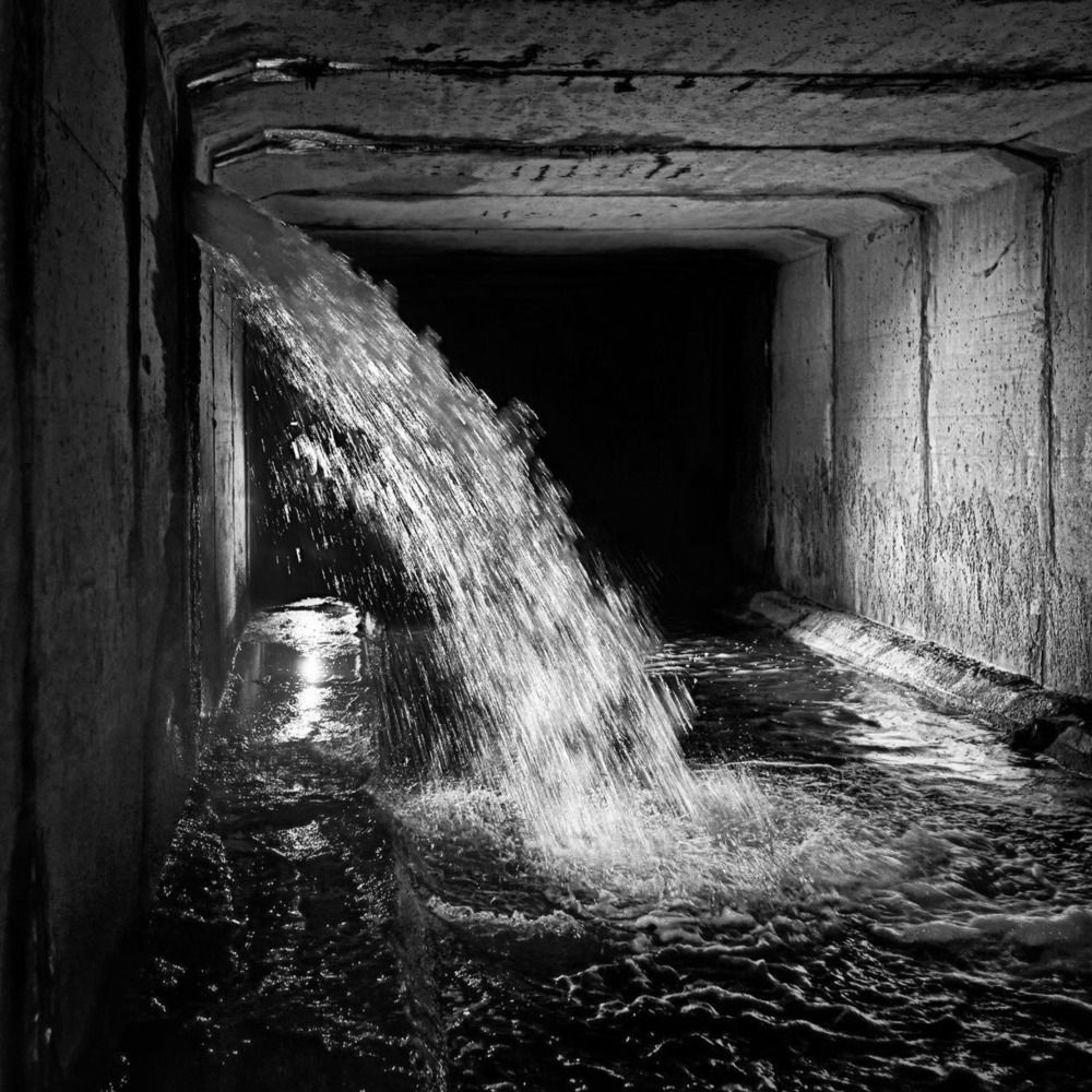 Photograph by Евгений Никонов