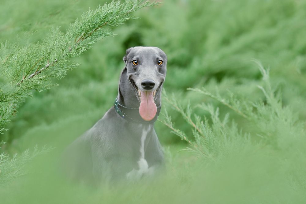 Photograph by Алеся Малевич