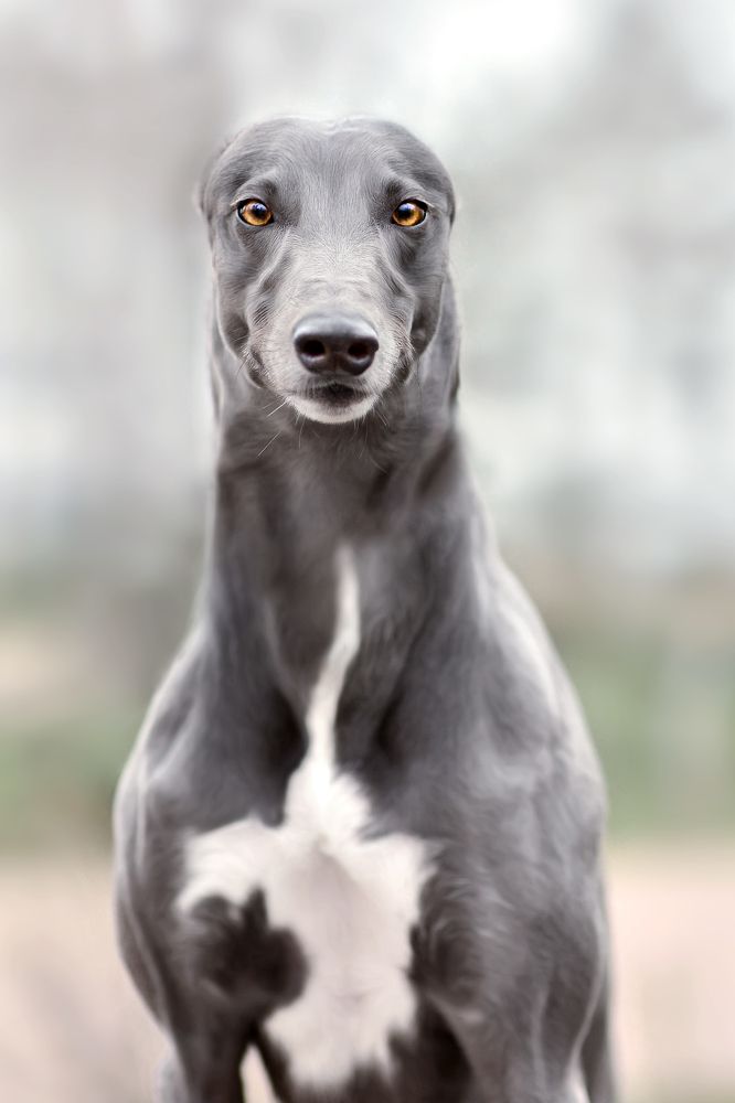 Photograph by Алеся Малевич