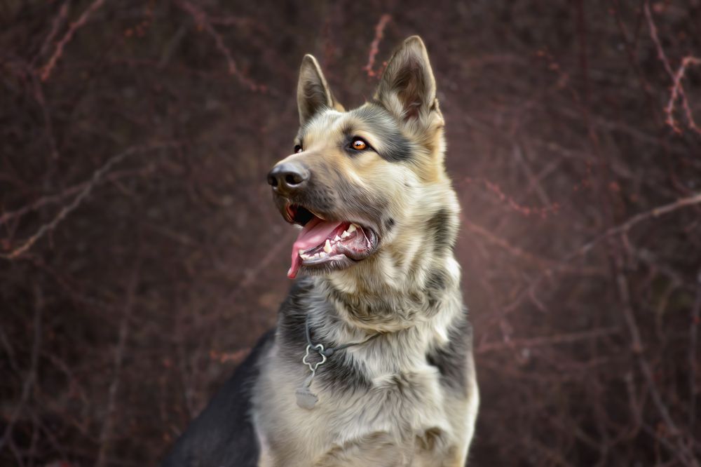 Photograph by Алеся Малевич