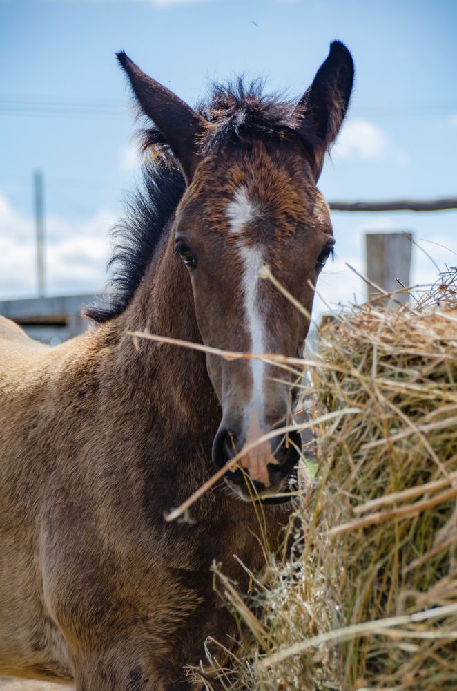 Фотография автора Дмитрий Новиков