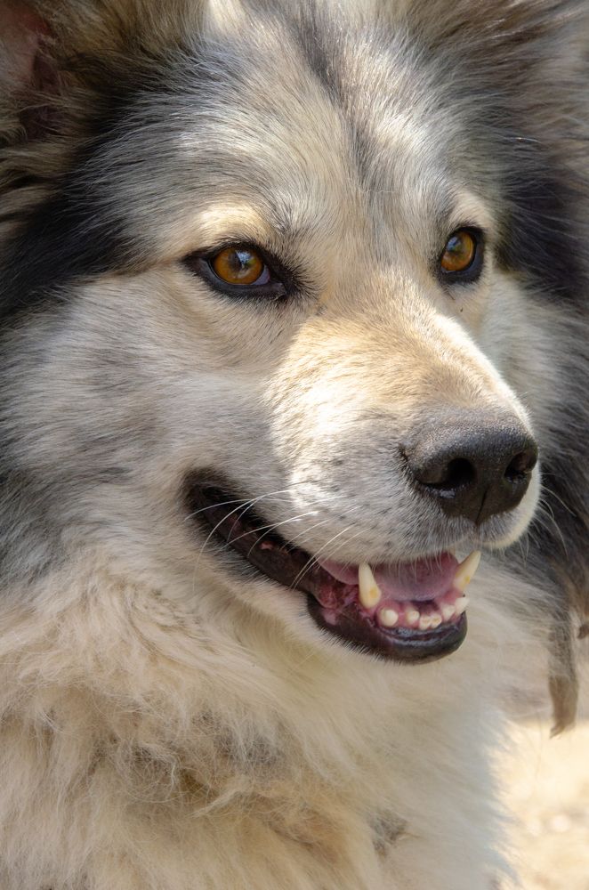 Фотография автора Дмитрий Новиков