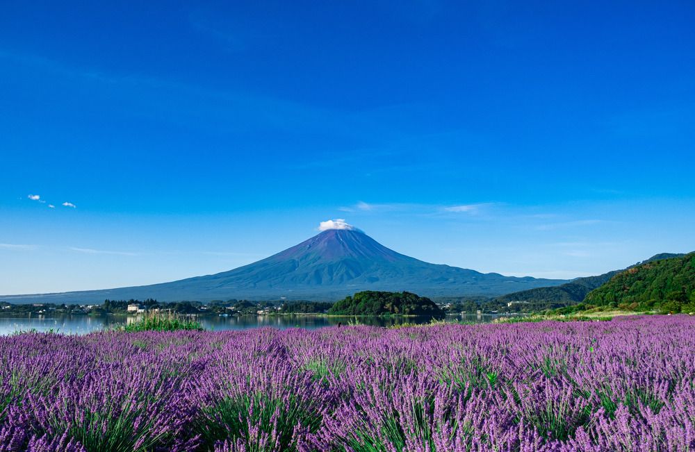 Photograph by Long Tang