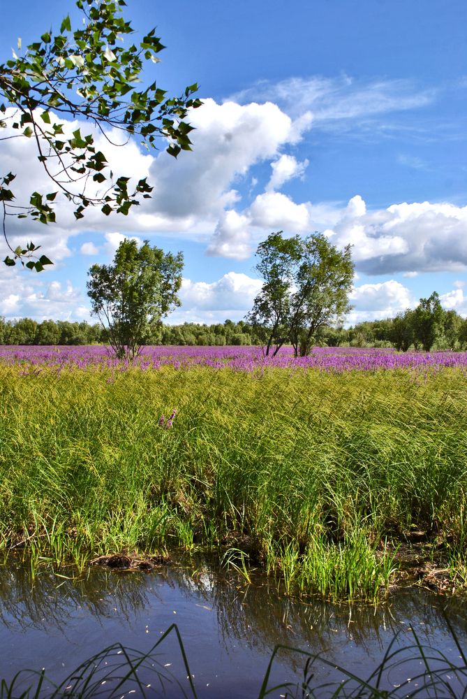 Photograph by Юрий Полевщиков