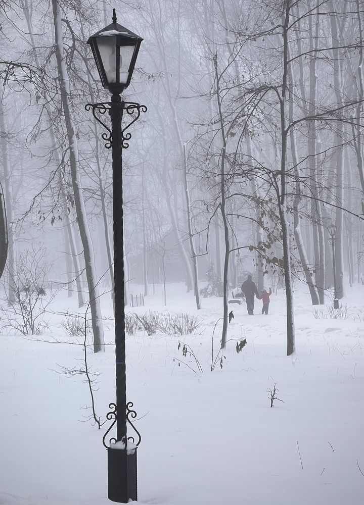 Фотография автора Ирина Мосько