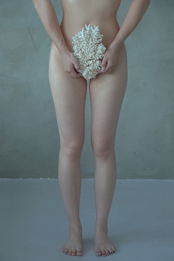 Синонимы 2.0