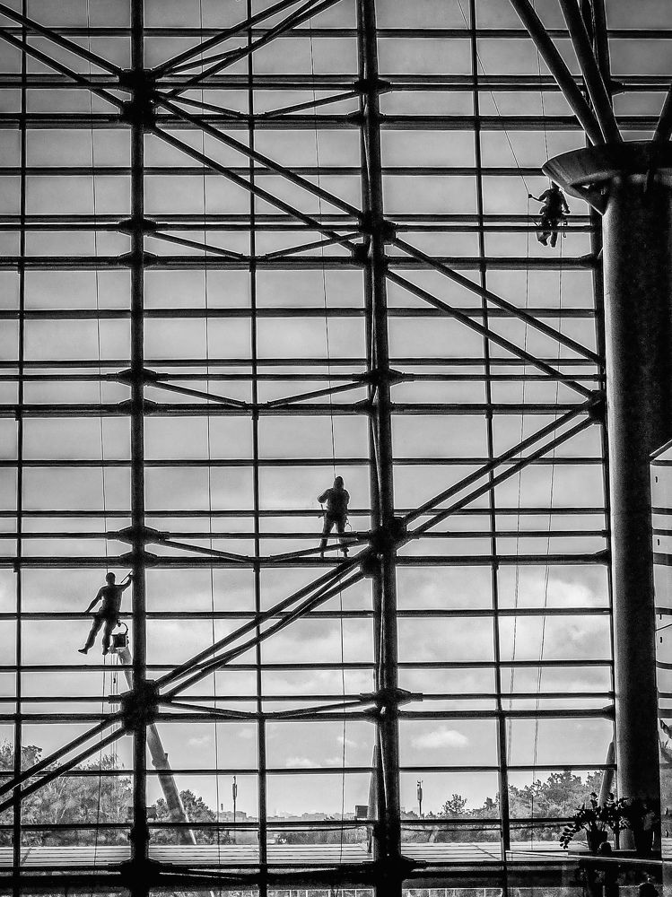 Фотография автора Светлана Алексеева