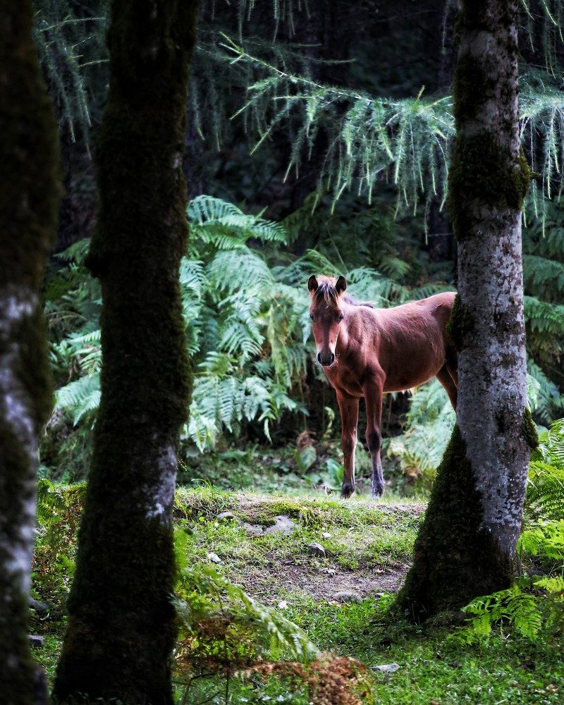 Photograph by Nima Massali