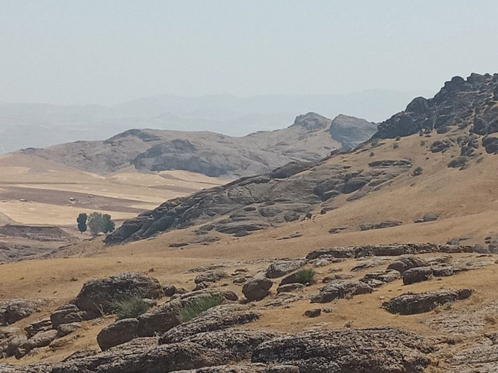 عکاسی باموبایل