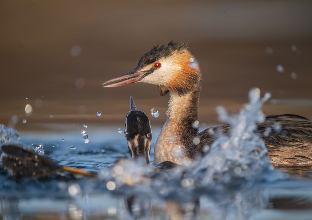 Фотография автора Mehdi EL Baqali