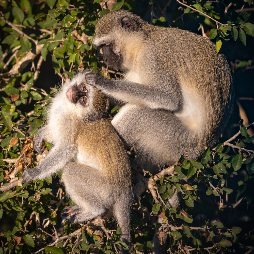 Photograph by João Paulo de Oliveira Freitas