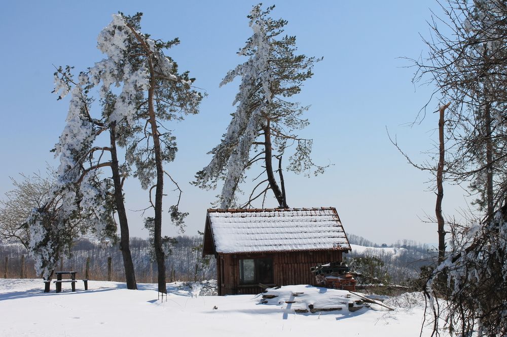 Photograph by Ljiljana Nedeljković