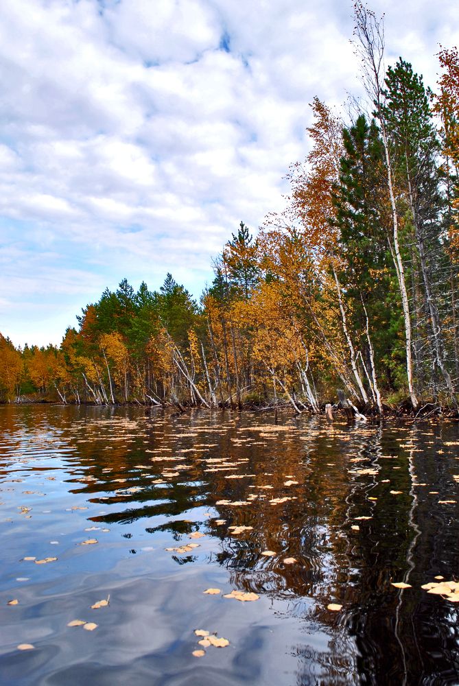 Photograph by Юрий Полевщиков