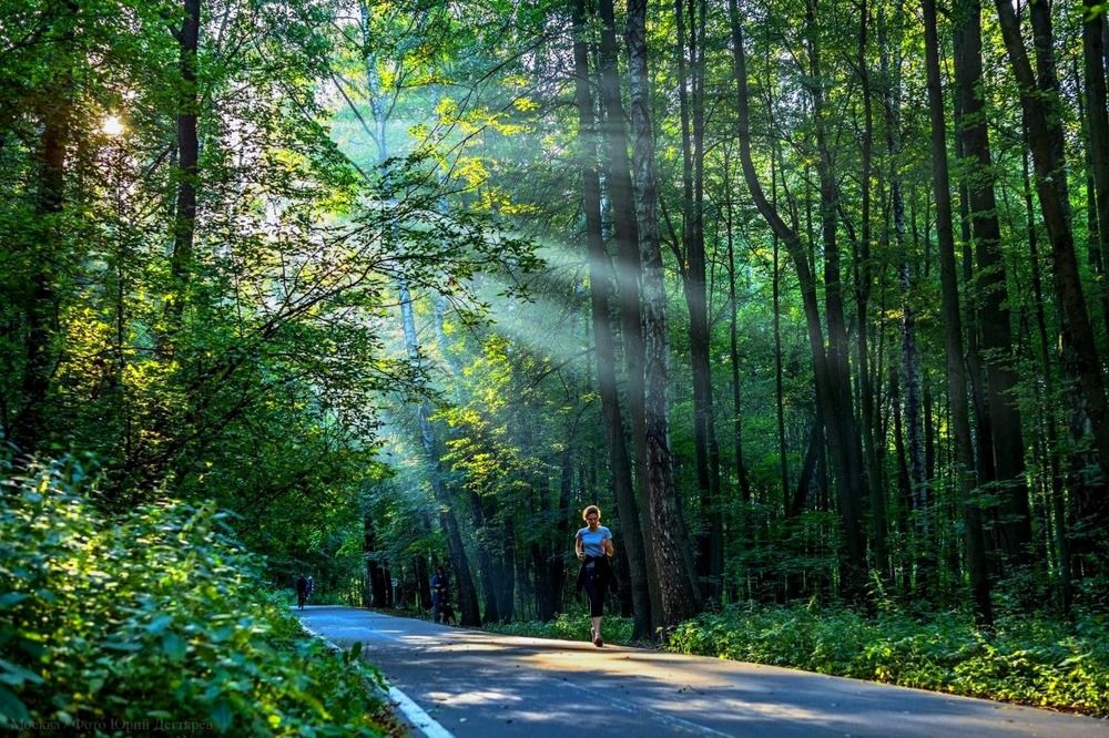 Photograph by Евгений Никонов