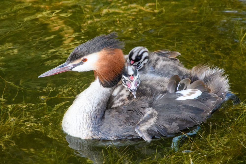 Photograph by Алексей Сальников