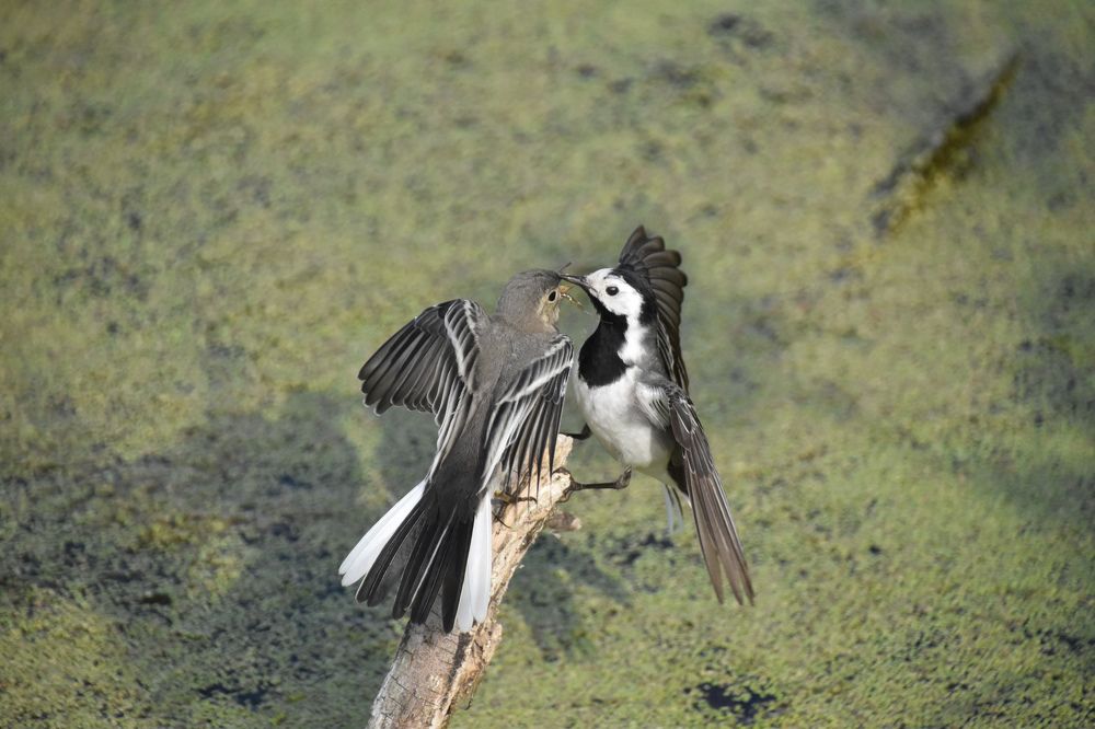 Photograph by Алексей Сальников