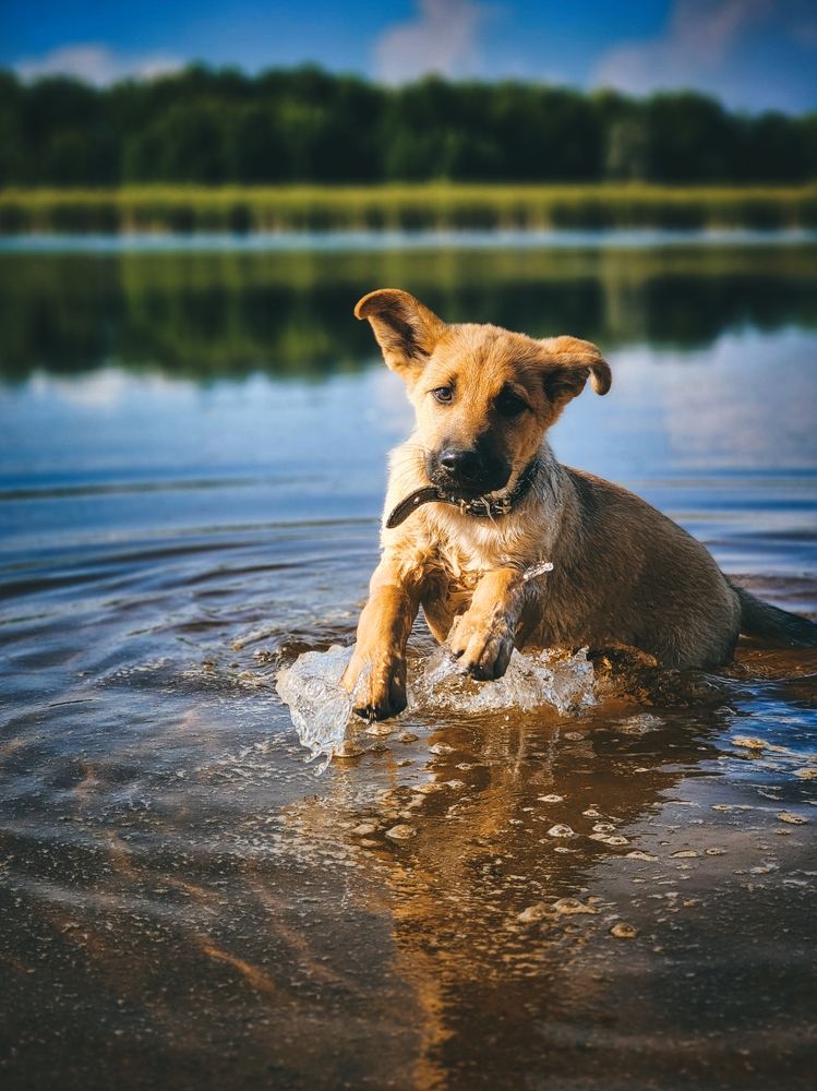 Photograph by Konstantin Martynov