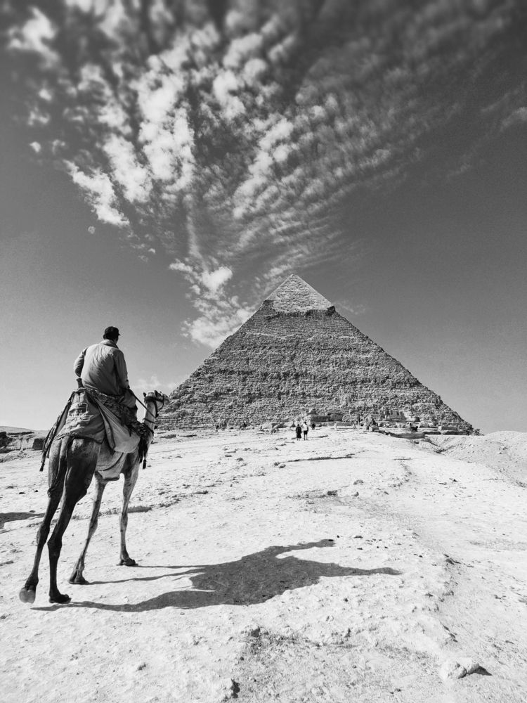 Фотография автора Mahmoud Ahmed