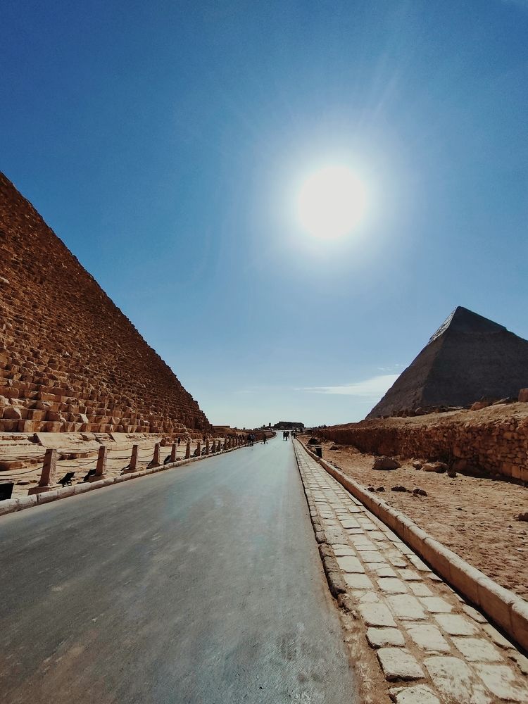 Фотография автора Mahmoud Ahmed