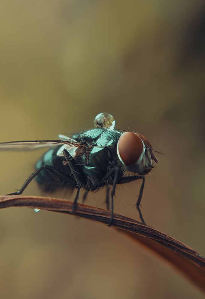 Photograph by Remart mastilero