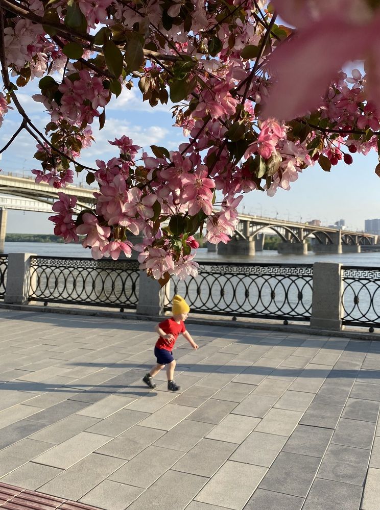 Photograph by Алиса Лукина