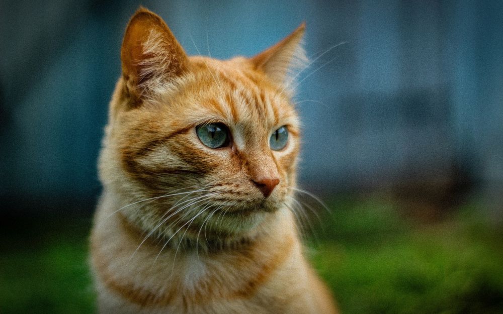 Photograph by Никита Капустин