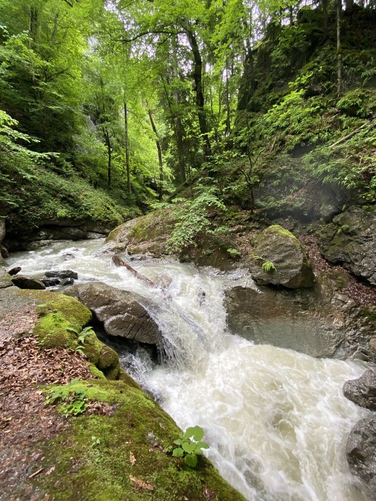 Photograph by Алиса Лукина