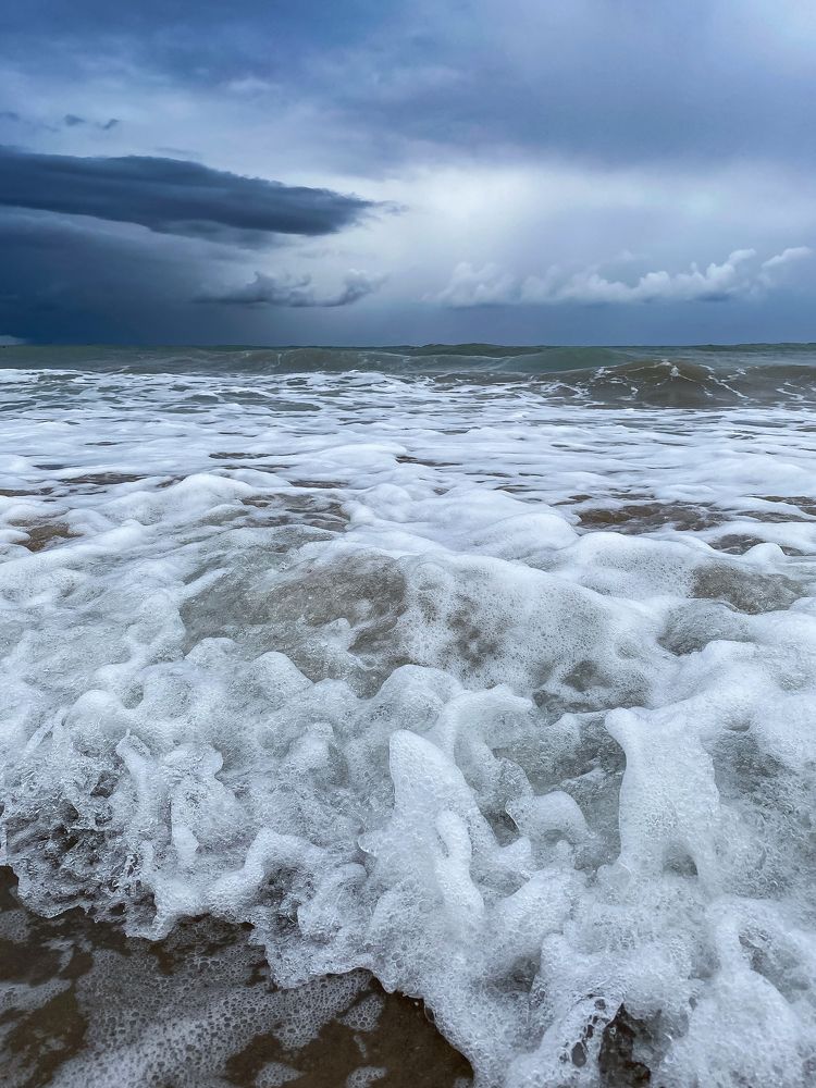 Photograph by Светлана Карнаух